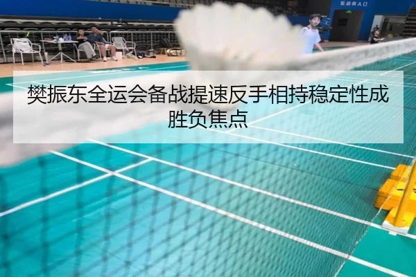 樊振东全运会备战提速反手相持稳定性成胜负焦点